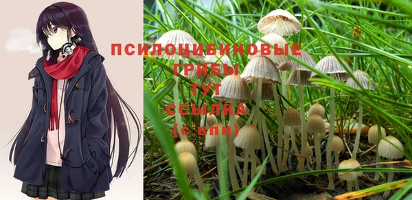 метадон Белокуриха