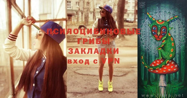 метадон Белокуриха