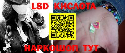 дмт Краснодар
