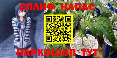 дмт Краснодар