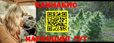 гидропоника Краснознаменск