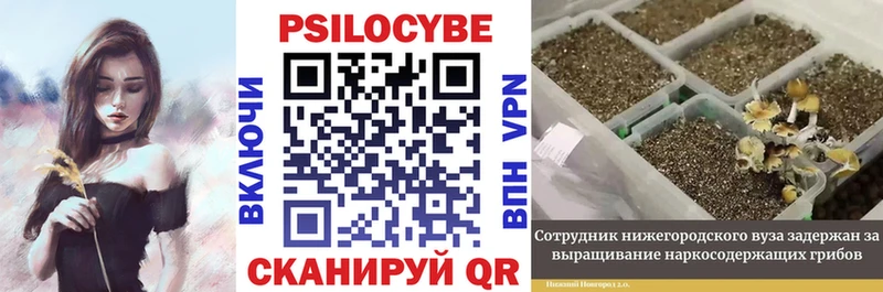 Галлюциногенные грибы мицелий  Кузнецк 