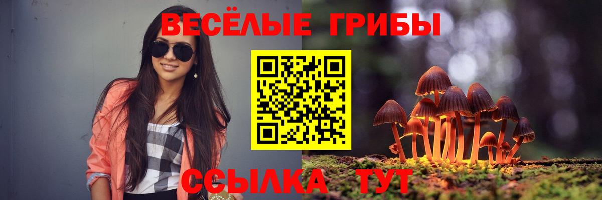 Кузнецк  Псилоцибиновые грибы GOLDEN TEACHER  Вход с VPN 
